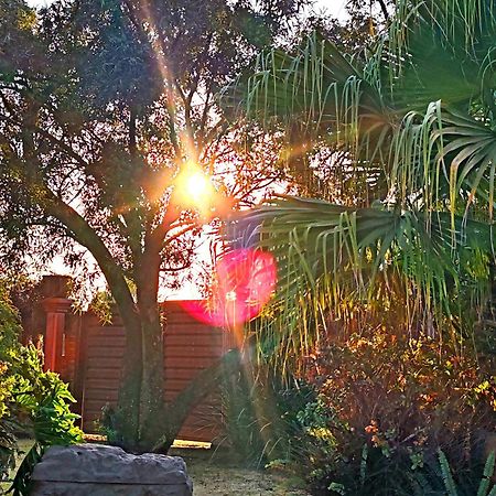 Sun And Stars Hotel Benoni Bagian luar foto